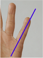 「小指の形状が進化している、人類の道具使いの証拠」